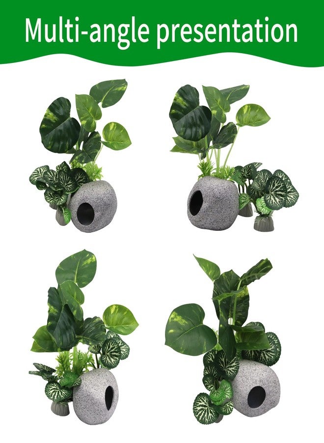 Abustle pig Aquarium Plants Fish Tank Decorations Plastic Artificial Aquarium Plant and Rock Cave Hideout House with Viewing Window for Betta Fish Tank Decor(Leafs/Stone Cave) - Image 2